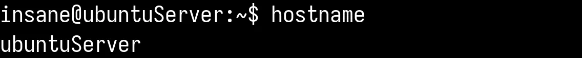 Output of hostname command